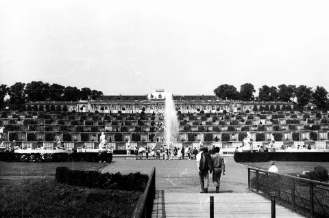 000226 Potsdam, Sanssouci, Blick Zum Schloß (1987)