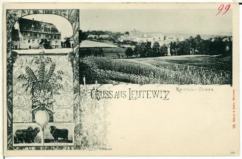 00099 Leutewitz 1898 Ortsansicht Brück & Sohn Kunstverlag