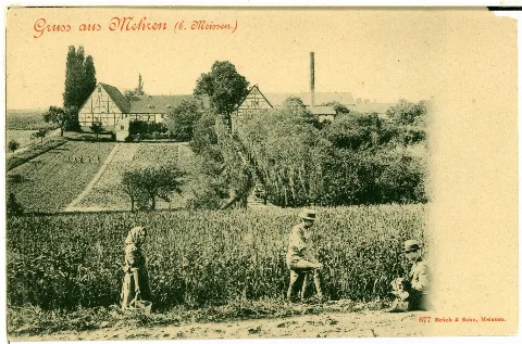 00677 Mehren 1898 Brück & Sohn Kunstverlag