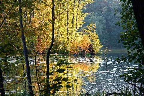 02 Nsg Schlaubetal Kleiner Schinkensee Ag