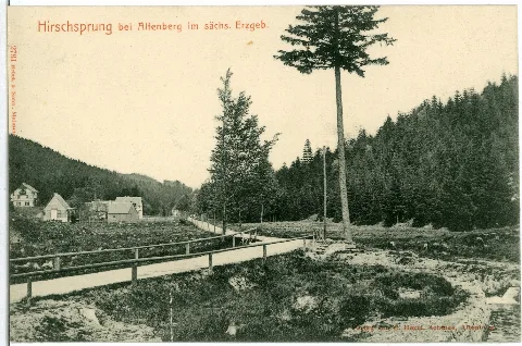 02731 Hirschsprung 1902 Hirschsprung Bei Altenberg Brück & Sohn Kunstverlag