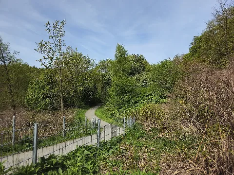Blick von der Kamelbrücke bei Arnsberg auf den Weg "Auf den Kämpen" der unterhalb der Staustufe auf dem Landstück zwischen Mühlengraben und Ruhr am Graben entlangführt