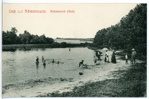 05350 Schmannewitz 1904 Brückenteich Mid Badenden Brück & Sohn Kunstverlag
