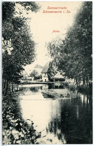 05351 Schmannewitz 1904 Mühle Brück & Sohn Kunstverlag
