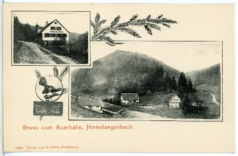 05360 Hinterlangenbach 1904 Gasthof Auerhahn Brück & Sohn Kunstverlag