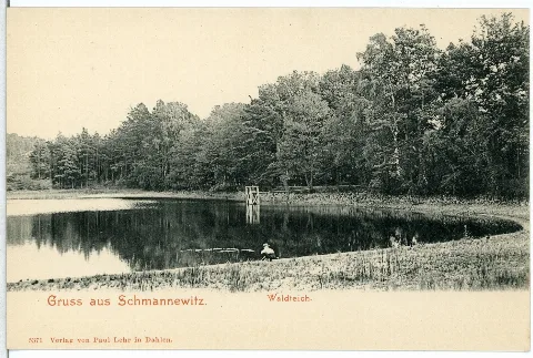 05371 Schmannewitz 1904 Waldteich Mit Freibad Brück & Sohn Kunstverlag