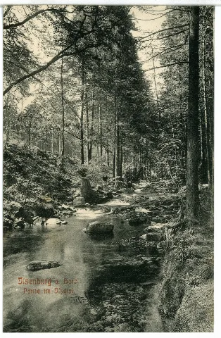 09150 Ilsenburg 1907 Ilsetal Brück & Sohn Kunstverlag
