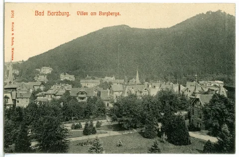 09761 Bad Harzburg 1908 Villen Am Burgberg Brück & Sohn Kunstverlag