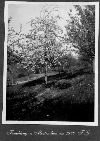 116 Fruehling In Mostindien Um 1928 Tg (1370449274)