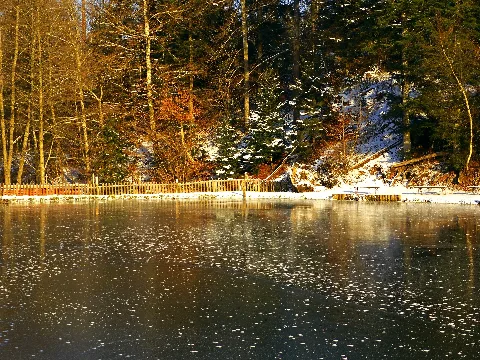12°C Panoramio