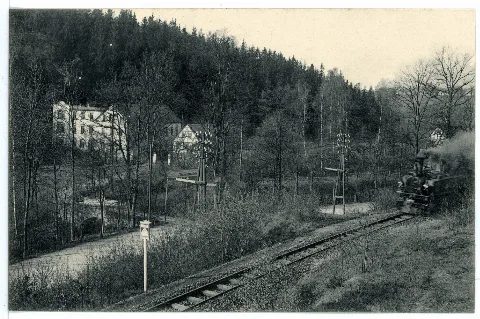 15702 Herzogswalde 1913 Restaurant Tännichtmühle Gleisanlage Mit Lok Brück & Sohn Kunstverlag