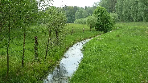 16 Lsg Dahme Heideseen Ag