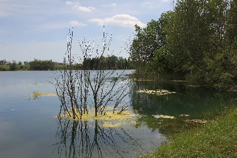 Ehemalige Tongrube in D-96487 Dörfles-Esbach, Landkreis Coburg in Oberfranken/Bayern. 40 Meter tief, Grund- und Niederschlagswasser, keine Zu- und Abflüsse. Über 30 Vogelarten, auch besonders geschützte. Die Tongrube war vom Zweckverband für Abfallwirtschaft in Nordwest-Oberfranken im Jahre 1979 für 700.000 DM nach einem zustimmenden Gemeinderatsbeschluss erworben worden. 1984 wurde dies erstmalig öffentlich bekannt und der Dipl.-Ing. Paul-Heinz Beyer bemühte sich fortan als Einzelkämpfer darum, dass der Beschluss des Gemeinderats und Erwerb durch den Zweckverband rückgängig gemacht wird. Durch unermüdliches Ringen mit hohem Zeiteinsatz durch und von Paul-Heinz Beyer war dies letztendlich von Erfolg gekrönt. Die Gemeinde Dörfles-Esbach kaufte die Tongrube zurück, die in der Folgezeit von der Regierung von Oberfranken als Sekundär-Biotop ausgewiesen wurde. Die Tongrube trägt heute die Bezeichnung Esbacher See und ist von einem Fußweg umrandet.