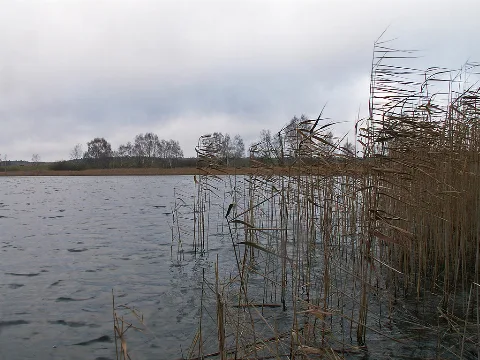 2004 01 01 Kleiner Linowsee105