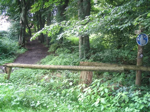 20040727 0942 1128 Spenge Eingang Zum Katzenholz Am Tannenweg Dem 'Landratsweg'