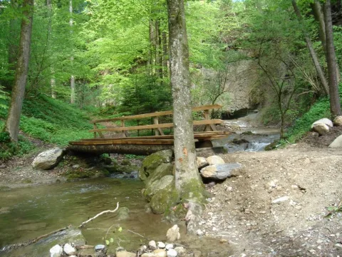 20050508S008 Muelibach