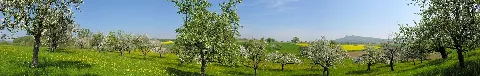 2007 04 22 Debisenweg, Büsslingen De 5