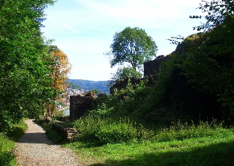 200709201335 Neckarsteinach
