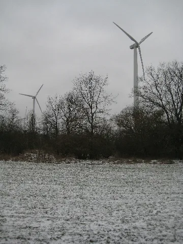 20090201 L Xl Wiki 1352