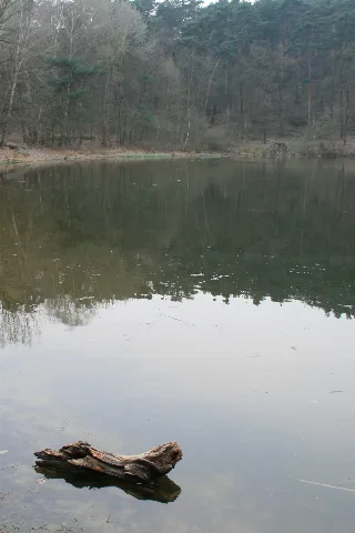 20090408 Teufelssee Und Wald 008 (3424530014)
