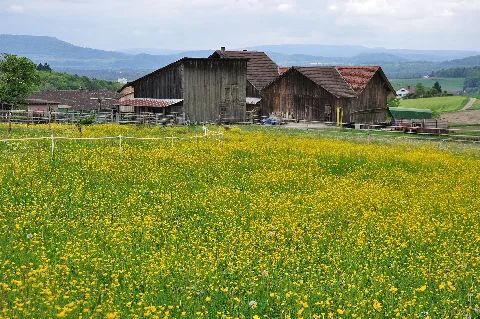 2010 05 14 15 20 51 Switzerland Zurich Wildensbuch