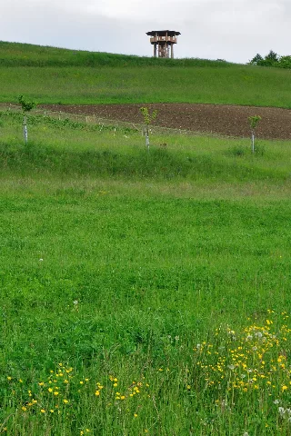 2010 05 14 15 25 26 Switzerland Zurich Wildensbuch
