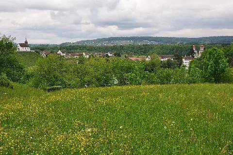 2010 05 14 15 38 45 Switzerland Zurich Oberdorf