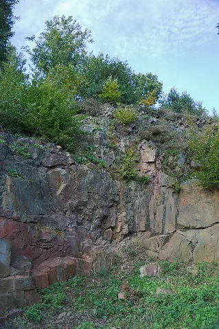 2010 10 Naturdenkmal Geologaufschluss Essen Nierenhoferstraße (Nrw)