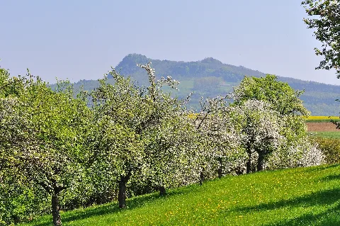 2011 04 22 12 48 16 Germany Baden Württemberg Büsslingen