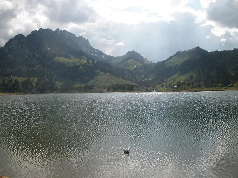 2011 05 01 Schwarzsee Fr