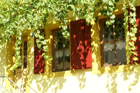 2011.09.16115624 Yellow House Theresienstrasse 50 Rhodt