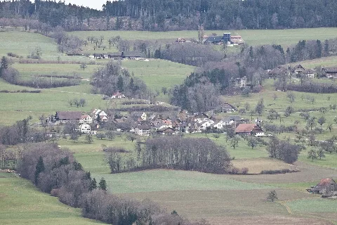 20110116 Ruine Nünegg Und Lieli