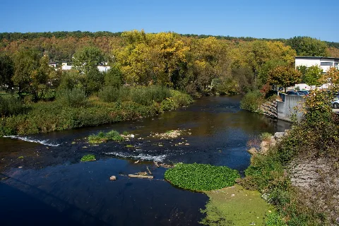 20111002 Enz In Niefern 060