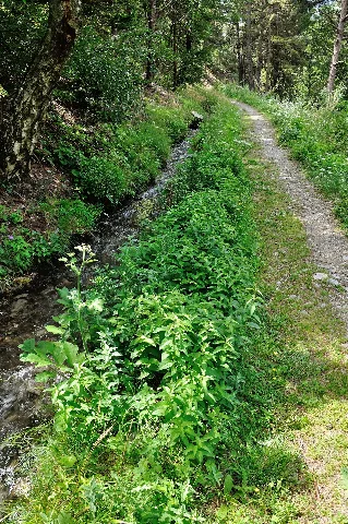 2012 08 04 11 40 20 Switzerland Canton Du Valais Niedergesteln