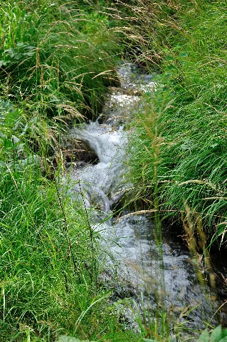 2012 08 04 11 42 17 Switzerland Canton Du Valais Niedergesteln
