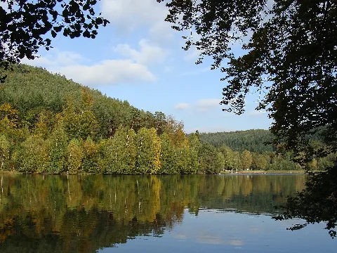 2012 Pfälzerwald 496 Gelterswoog Ji