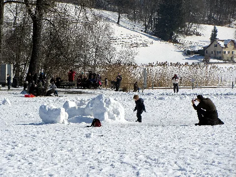 2012 'Seegfrörni' Türlersee Hausen Am Albis 2012 02 18 12 47 41 (Sx230)