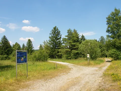 2013 06 Hurlacher Heide