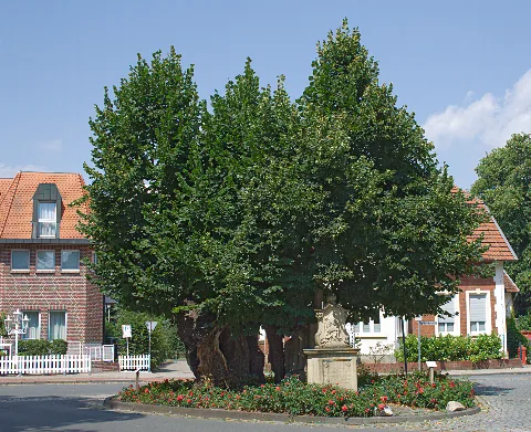 2013 08 Marienlinde Telgtenrw