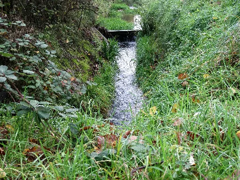 20131107 Görresbach 7