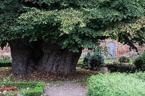 2014 09 Kirchlinde Zurow