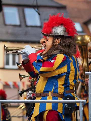 2014 Häs Ostalb Ruassgugga