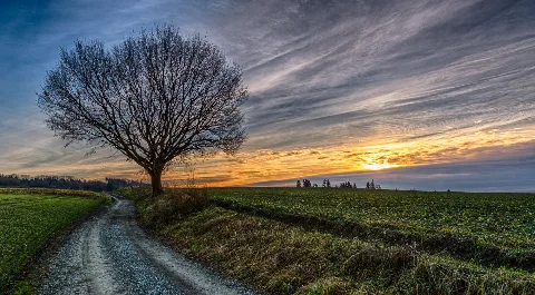 20140115 161453 Dsc9433 Hdr 1 Bearbeitet