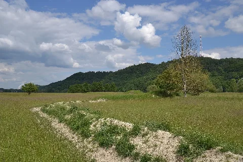 20140615 Ochsenau Mit Trockenhuegel