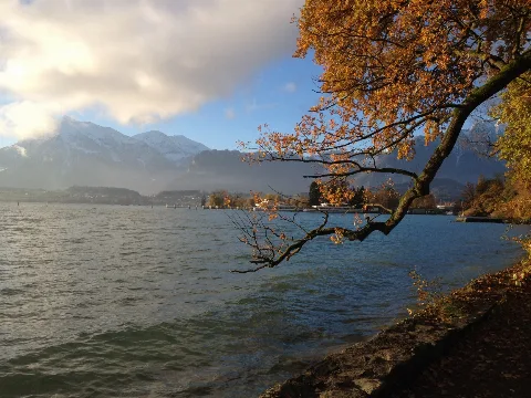 20141107 Hafen Lachen Thun 01