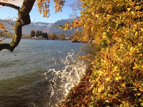 20141107 Hafen Lachen Thun 02