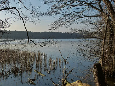 2015 01 18 Sidowsee Himmelpfort 049