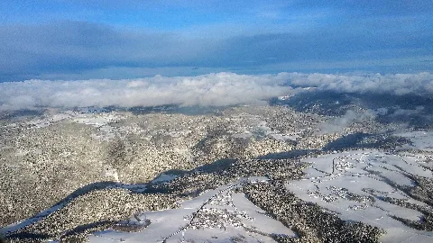 2015 01 31 09 14 42 Germany Baden Württemberg Dachsberg Bannholz