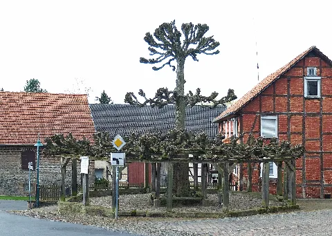 2015 04 Nd 3 Stufen Linde Hilgershausen(Hessen)