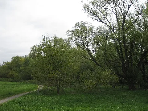 20150503 Tongrube 1
